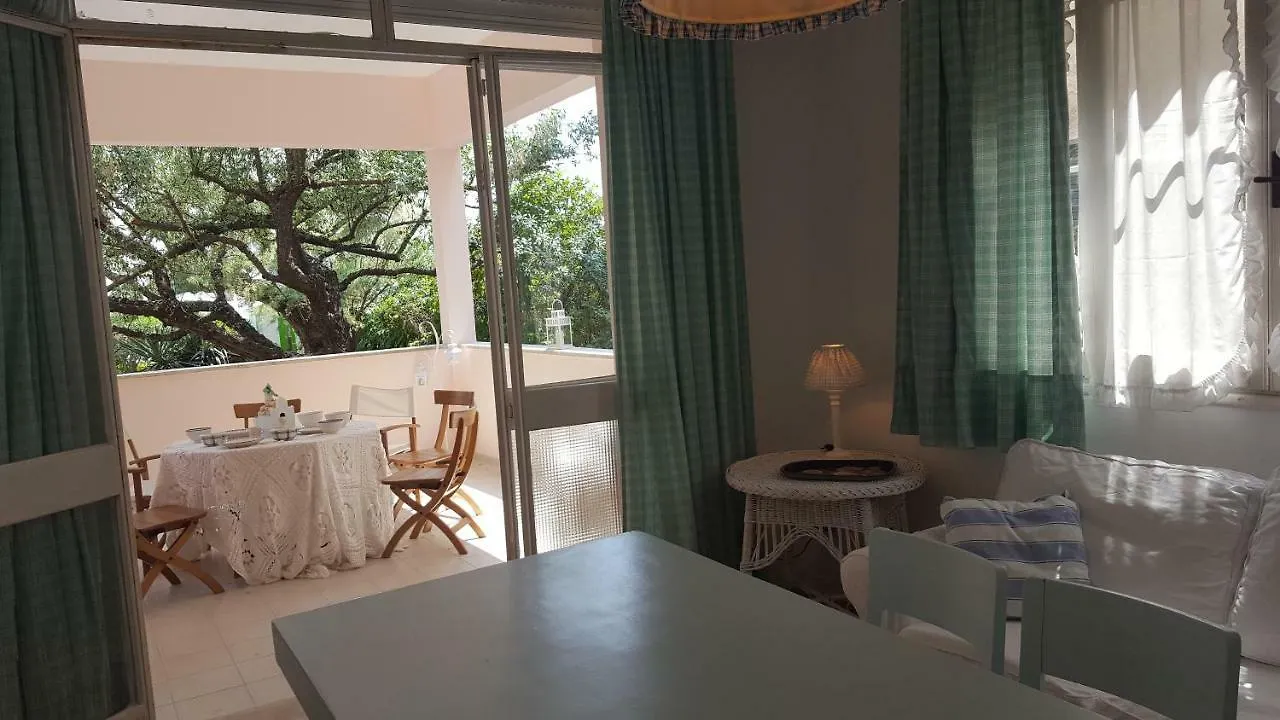 Villa Picchetti Fronte Mare Lido di Jesolo